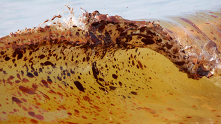How Big Oil Money Killed Green Ballot Measures